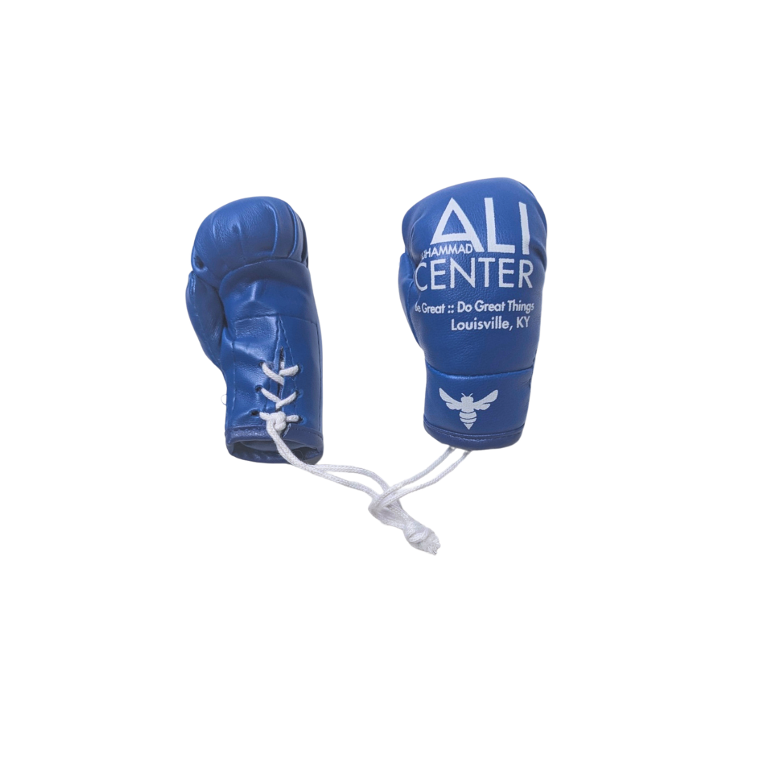 Mini String Boxing Gloves