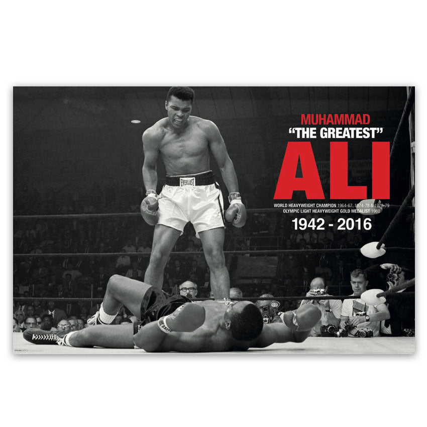24 x 36 Poster