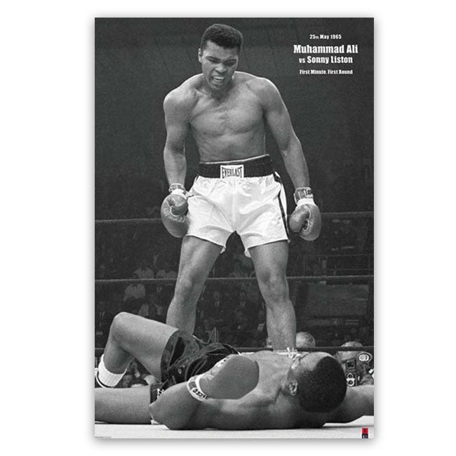 24 x 36 Poster