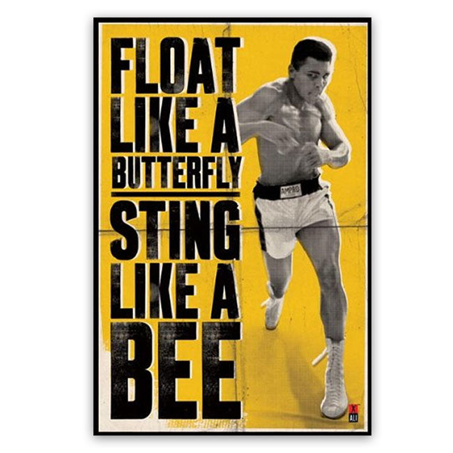 24 x 36 Poster