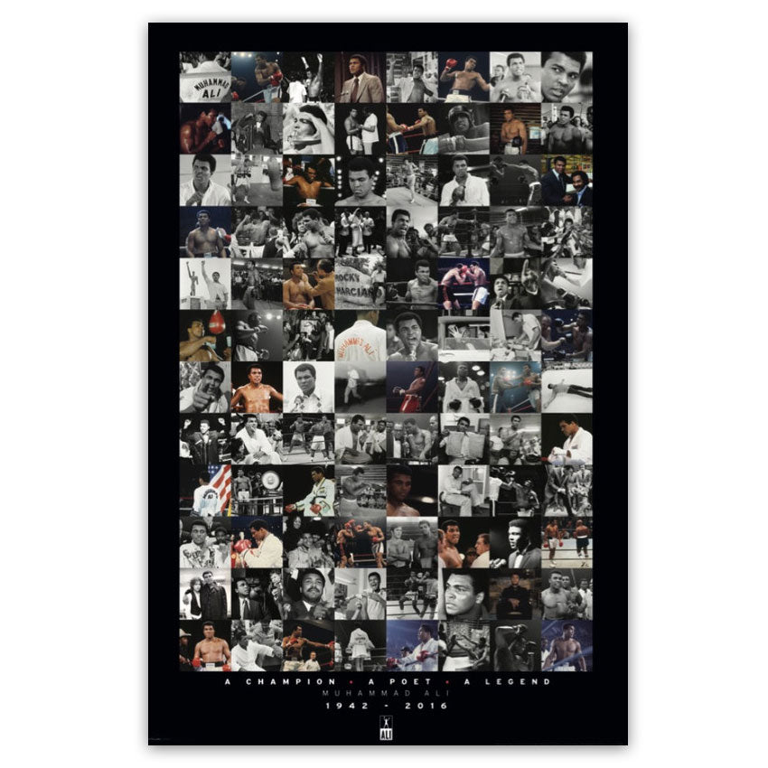 24 x 36 Poster