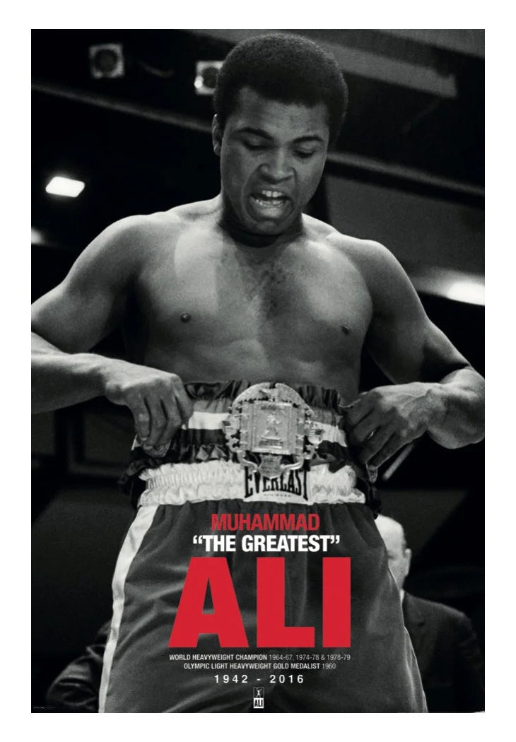 24 x 36 Poster