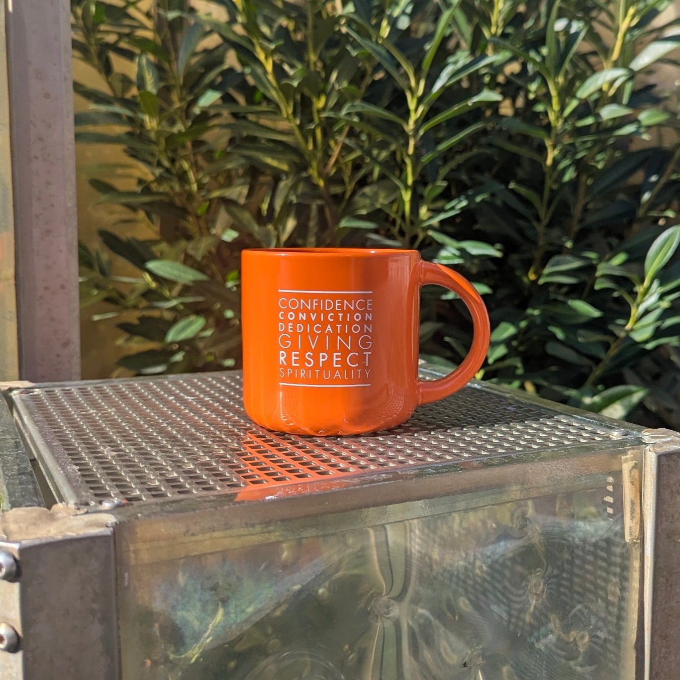 Core Principles Mug