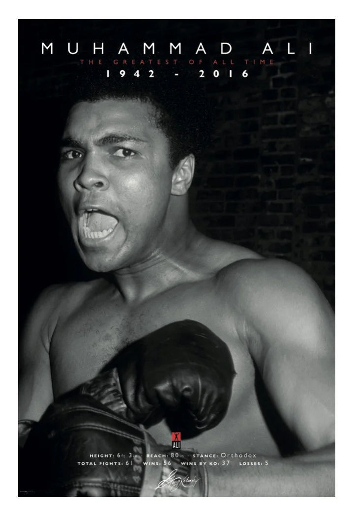 24 x 36 Poster