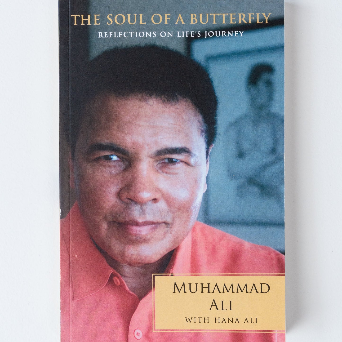 The Soul of a Butterfly: Reflections on Life's Journey - Paperback Book