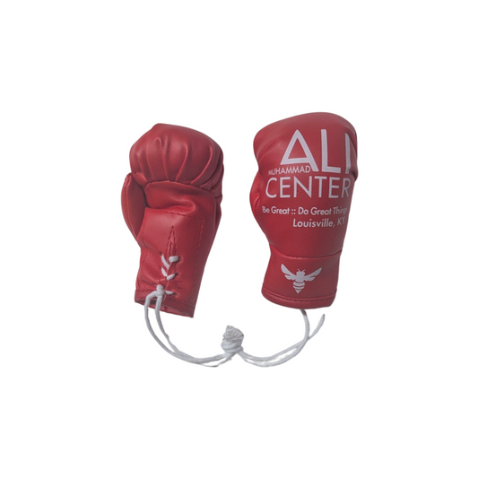 Mini String Boxing Gloves