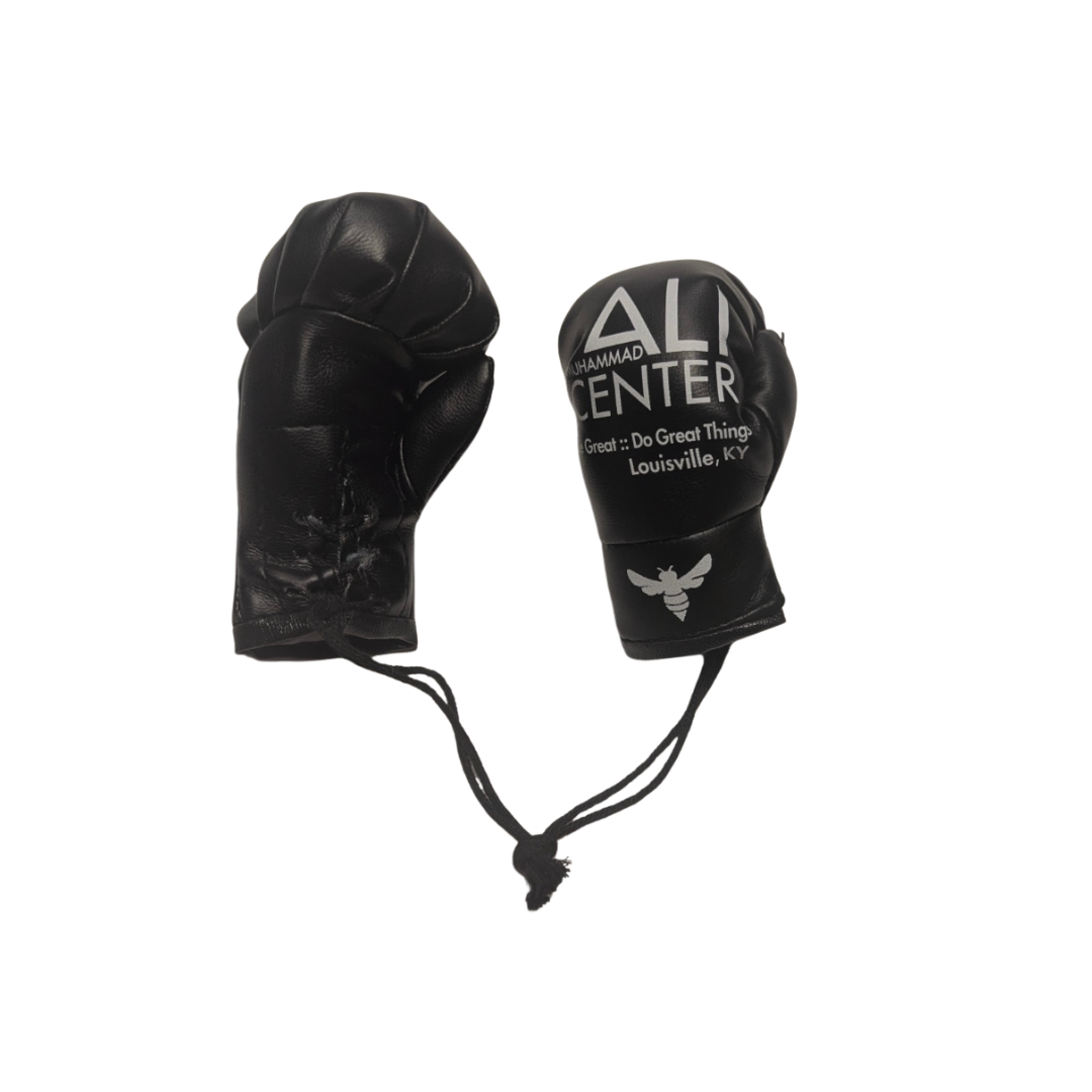 Mini String Boxing Gloves