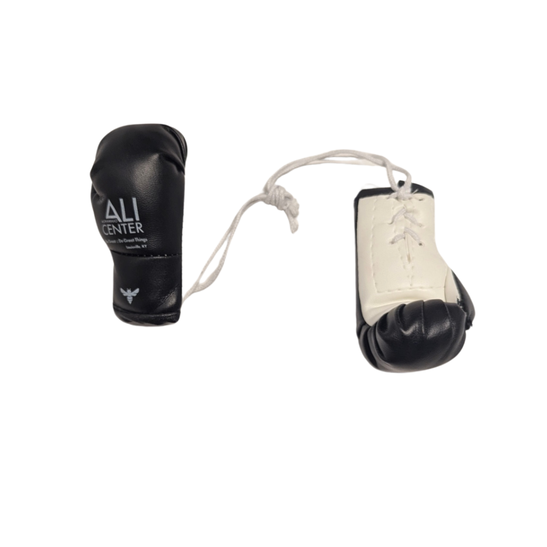 Mini Boxing Gloves