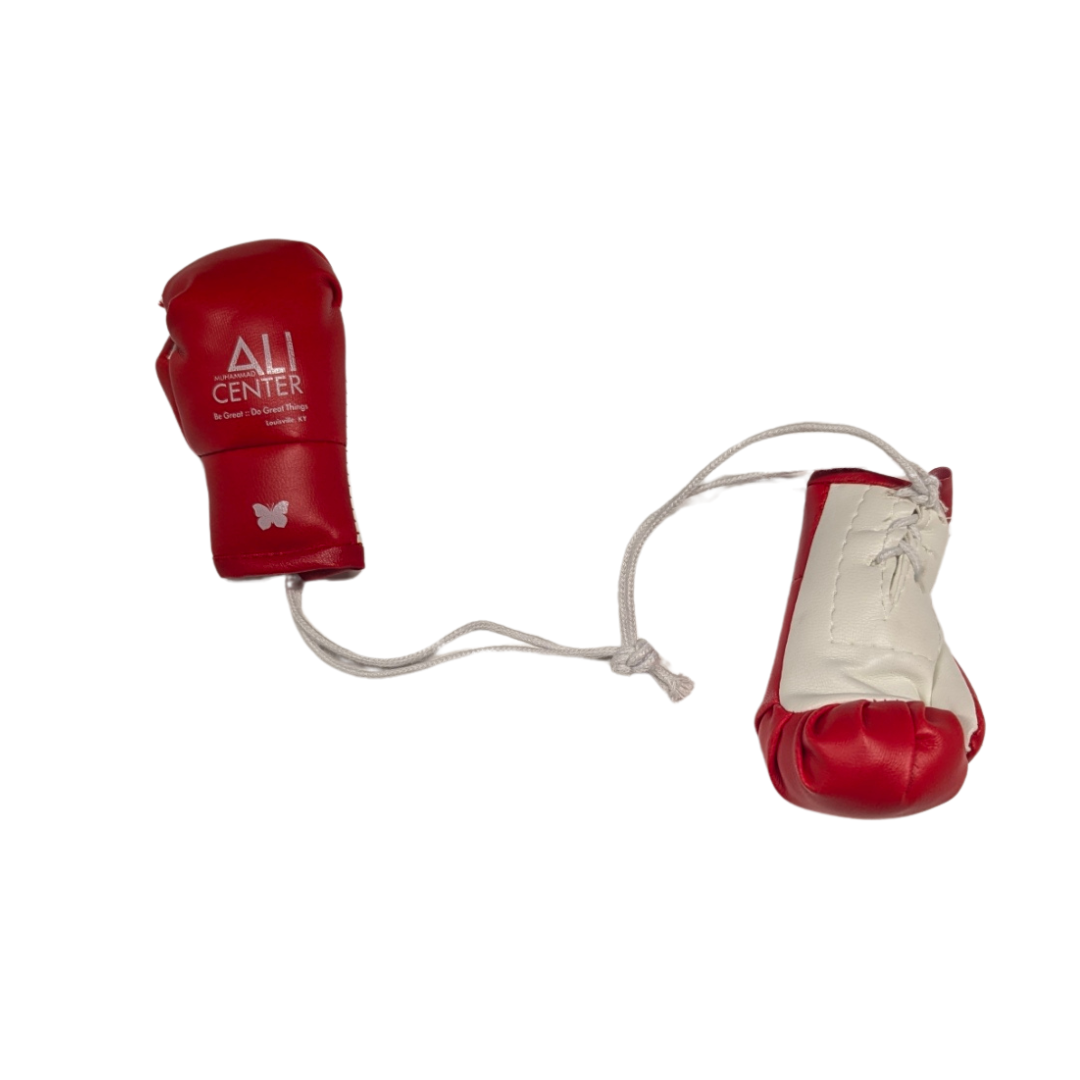 Mini Boxing Gloves