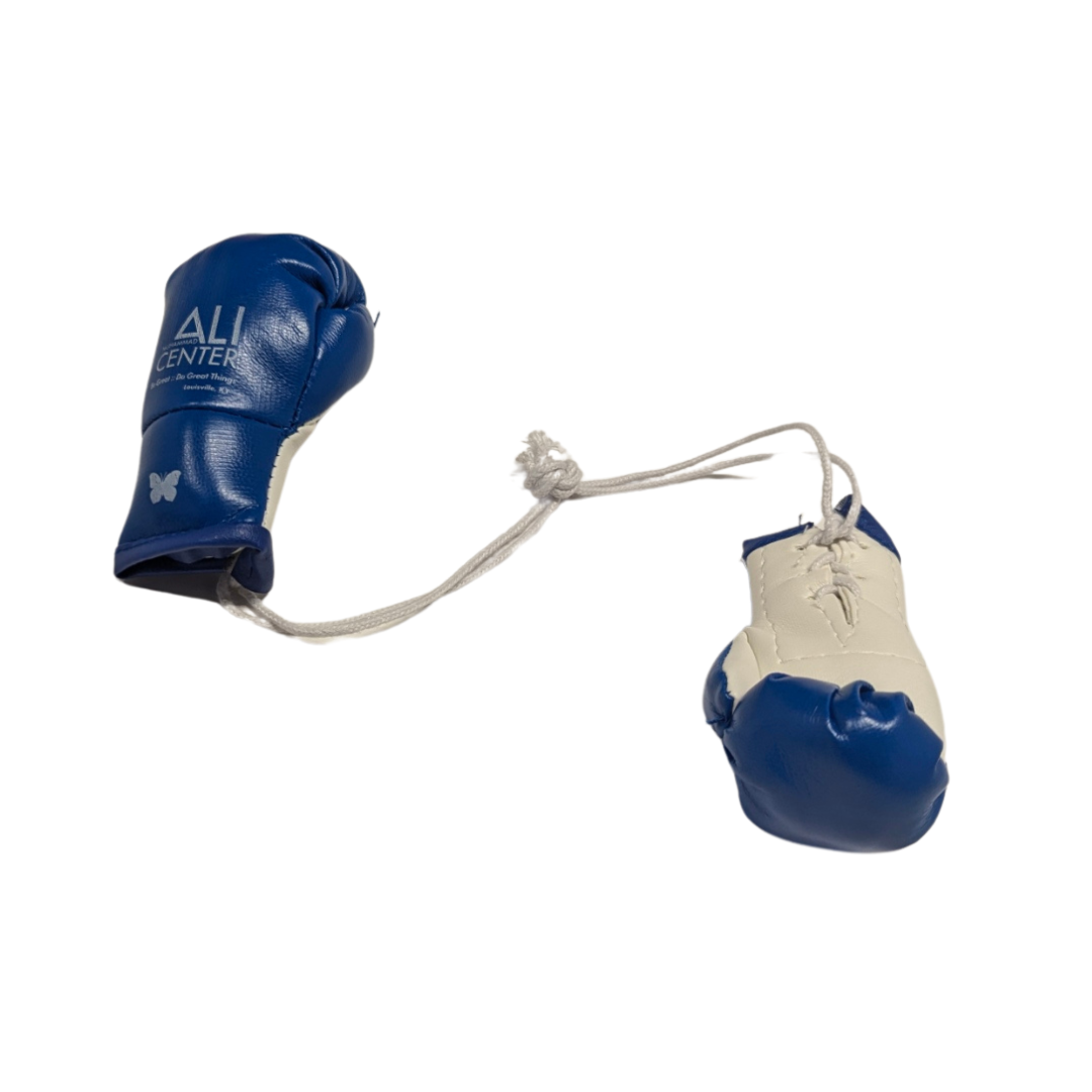 Mini Boxing Gloves