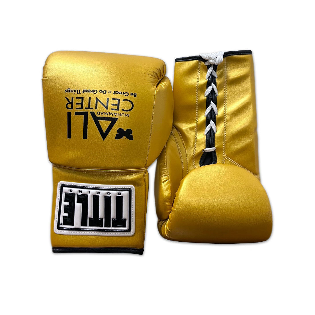 Full-size Boxing Gloves
